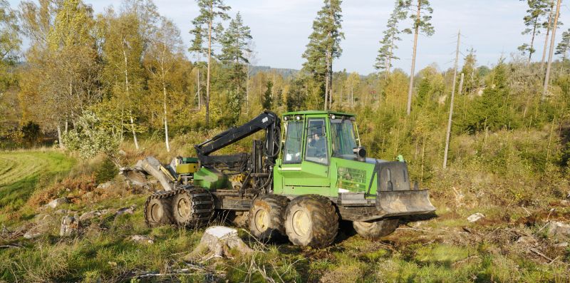 Tree Felling Operations