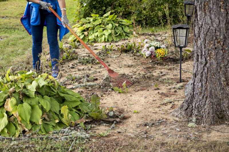 Stump Grinding Process