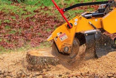 Debris and Stump Grinding