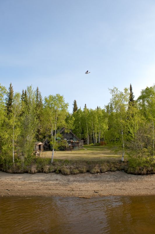 Site Cleanup After Clearing