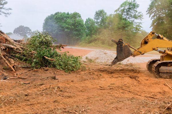 Ground Clearing in Antioch