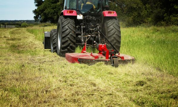Brush Clearing Service in Antioch