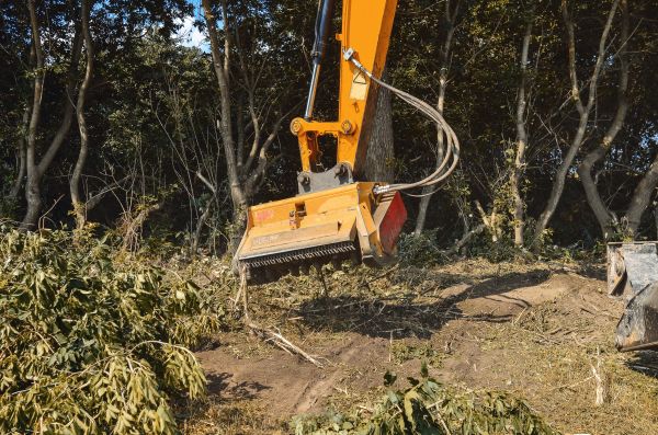 Brush Removal Service in Antioch