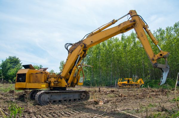 Farm Clearing in Antioch