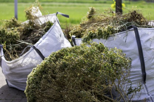 Bushes Clearing in Antioch