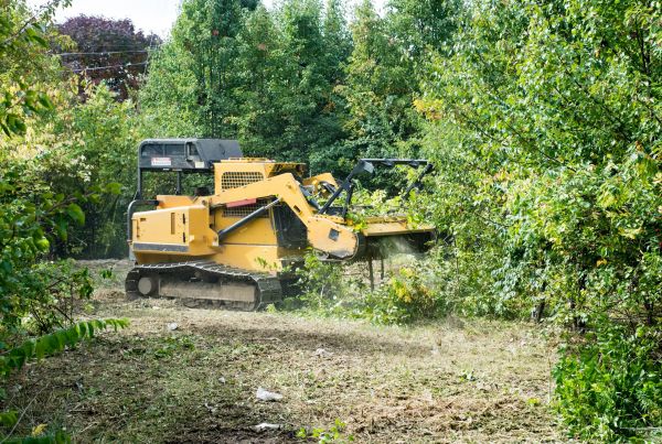 Pathway Clearing in Antioch