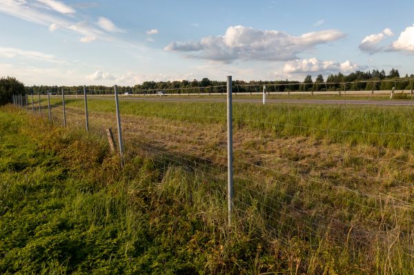Property Line Clearing in Antioch