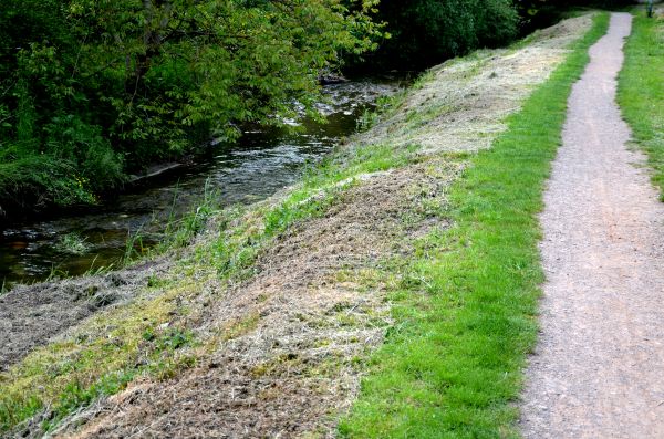 Trail Cutting in Antioch